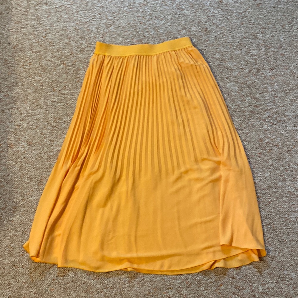 Midi skirt from JCREW NWT!
